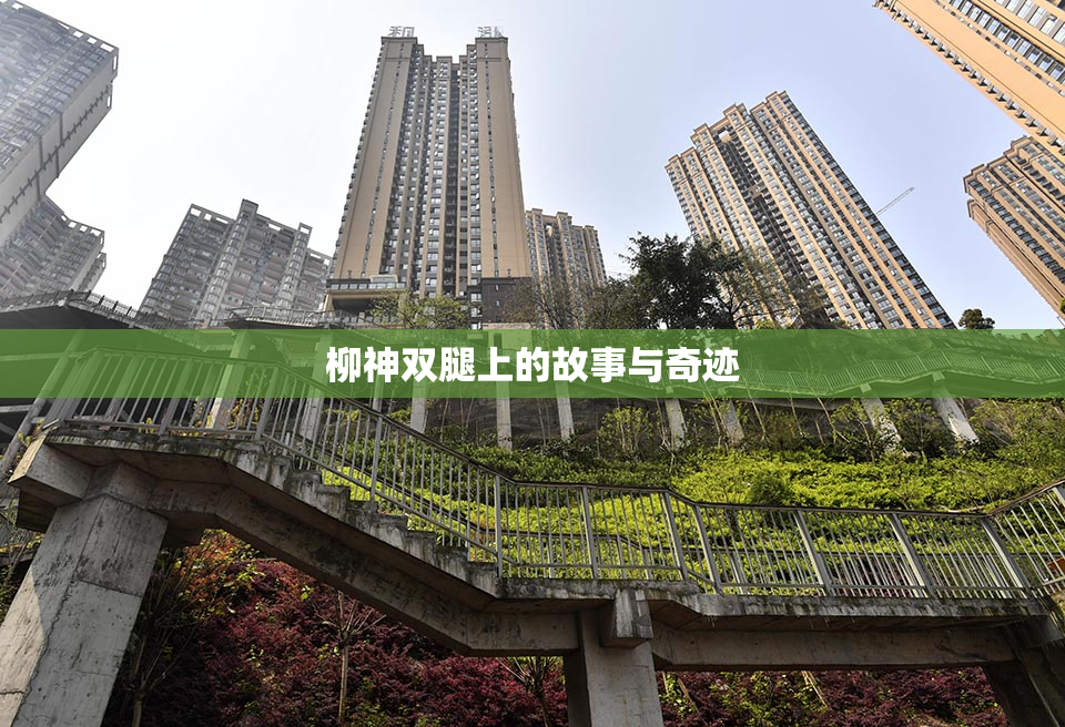 柳神双腿上的故事与奇迹