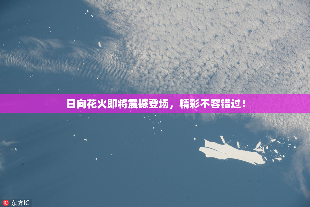 日向花火即将震撼登场，精彩不容错过！