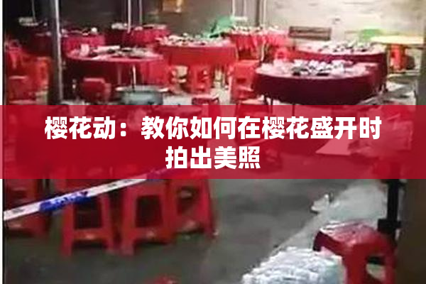 樱花动：教你如何在樱花盛开时拍出美照