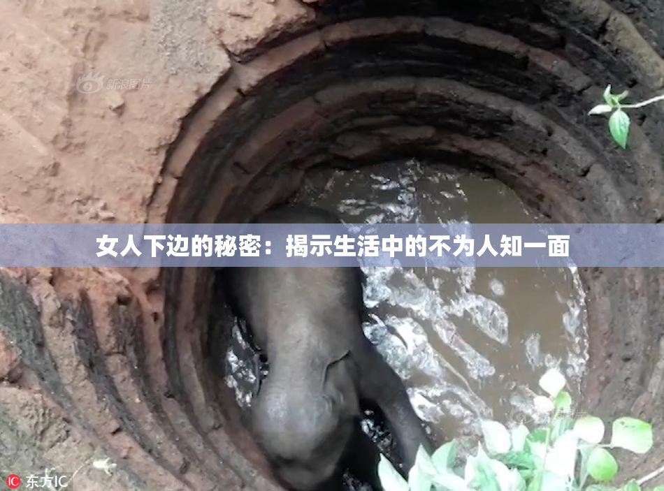 女人下边的秘密：揭示生活中的不为人知一面