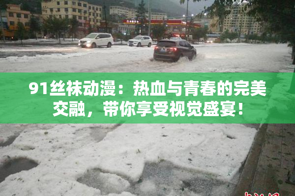 91丝袜动漫：热血与青春的完美交融，带你享受视觉盛宴！