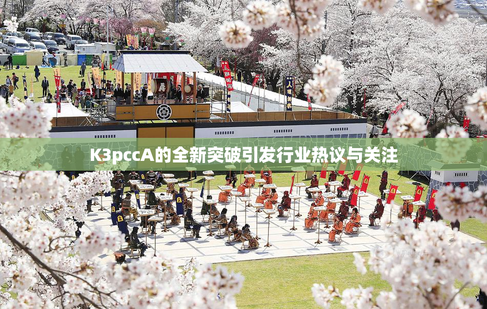 K3pccA的全新突破引发行业热议与关注