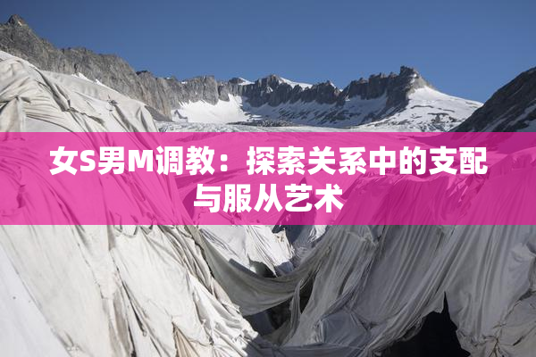 女S男M调教：探索关系中的支配与服从艺术