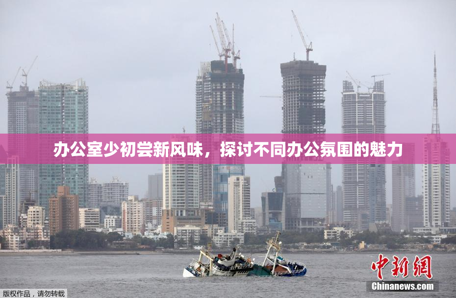 办公室少初尝新风味，探讨不同办公氛围的魅力