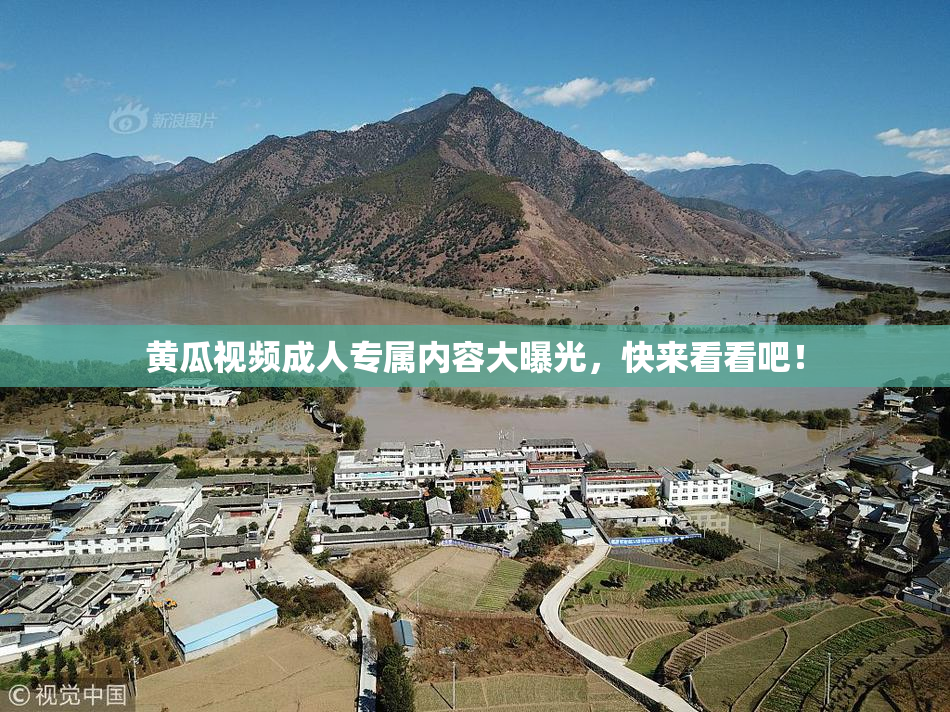 黄瓜视频成人专属内容大曝光，快来看看吧！