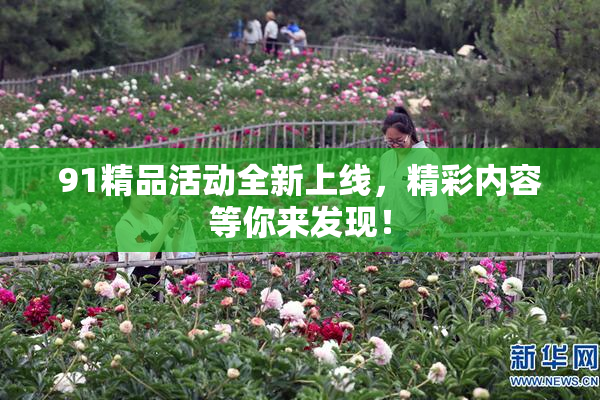 91精品活动全新上线，精彩内容等你来发现！