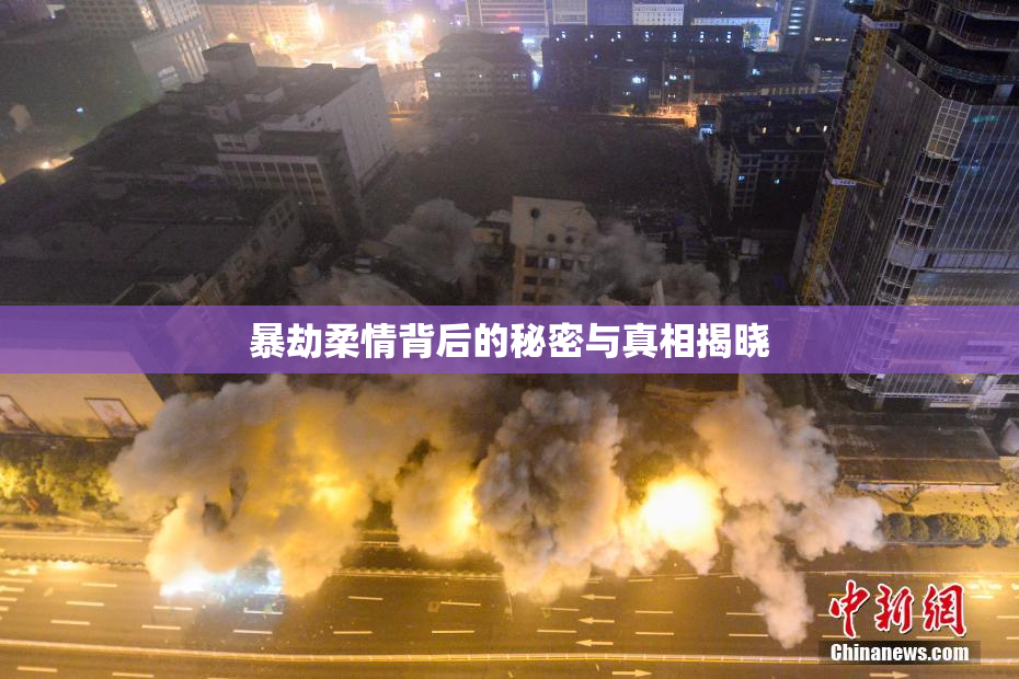 暴劫柔情背后的秘密与真相揭晓