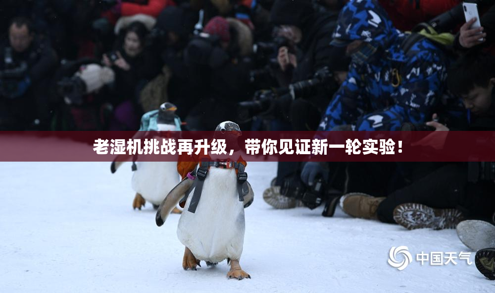 老湿机挑战再升级，带你见证新一轮实验！
