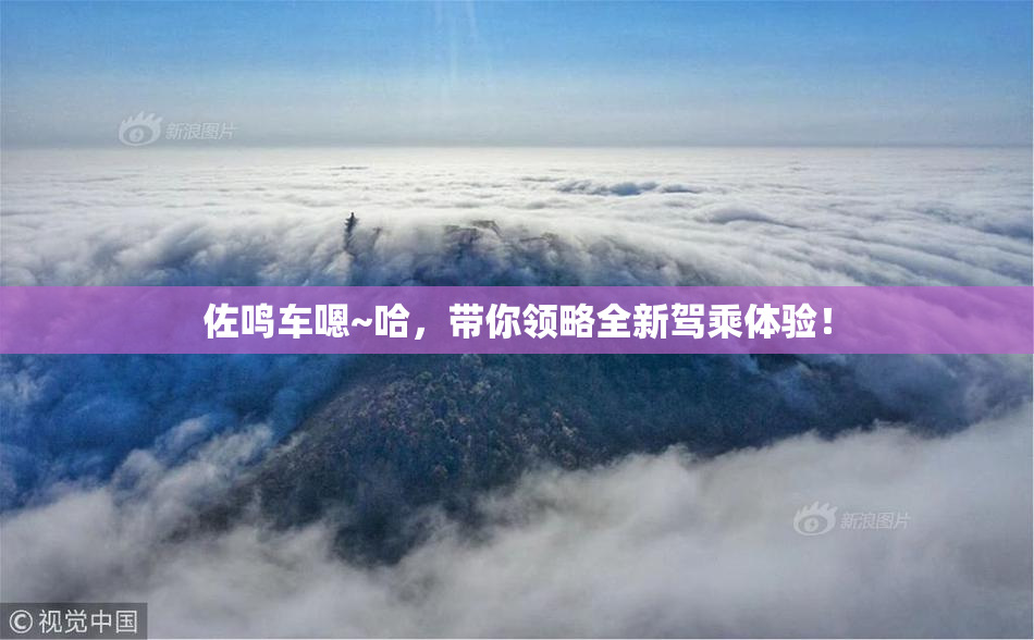 佐鸣车嗯~哈，带你领略全新驾乘体验！