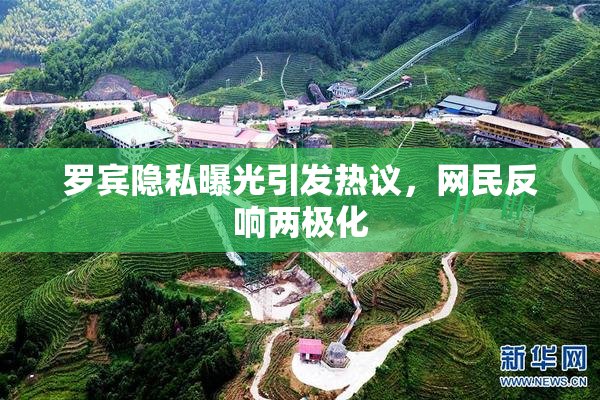 罗宾隐私曝光引发热议，网民反响两极化