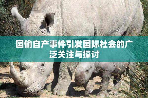 国偷自产事件引发国际社会的广泛关注与探讨