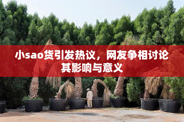 小sao货引发热议，网友争相讨论其影响与意义