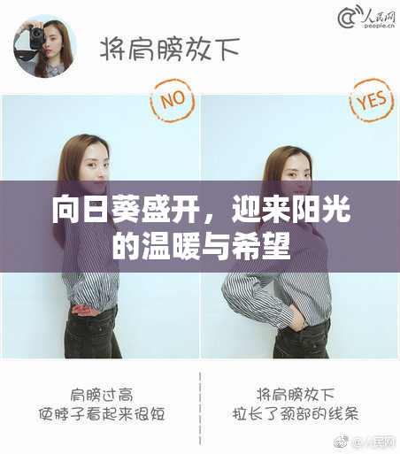 向日葵盛开，迎来阳光的温暖与希望