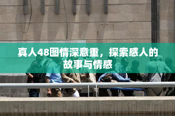 真人48图情深意重，探索感人的故事与情感