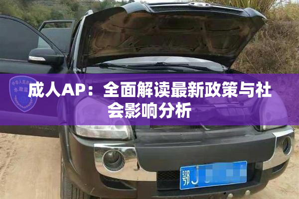 成人AP：全面解读最新政策与社会影响分析