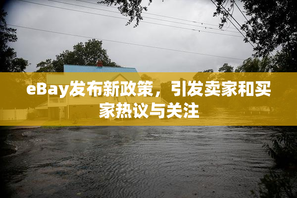 eBay发布新政策，引发卖家和买家热议与关注