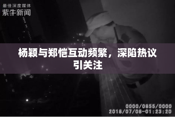 杨颖与郑恺互动频繁，深陷热议引关注