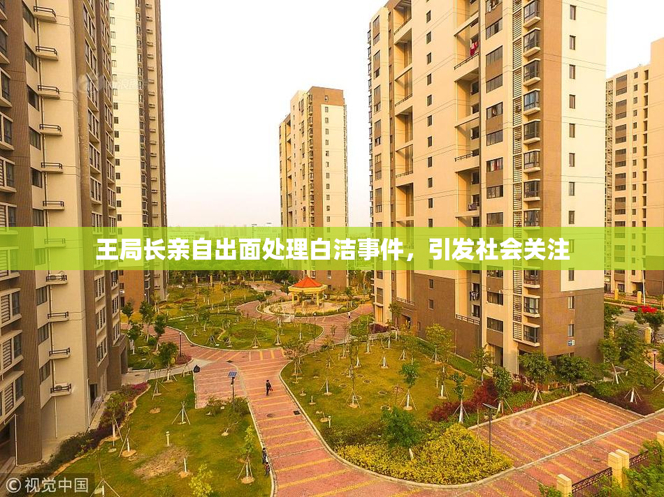王局长亲自出面处理白洁事件，引发社会关注