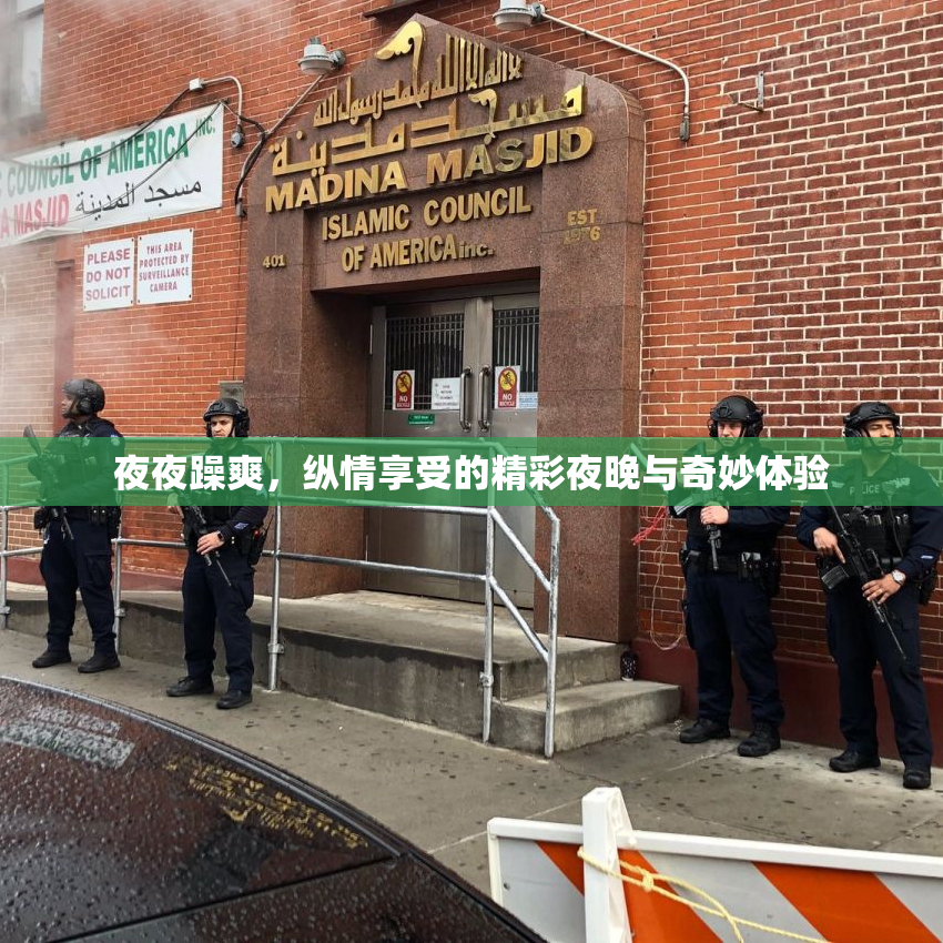 夜夜躁爽，纵情享受的精彩夜晚与奇妙体验
