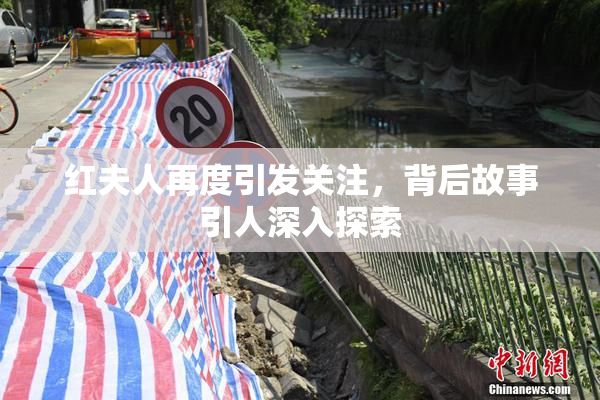 红夫人再度引发关注，背后故事引人深入探索