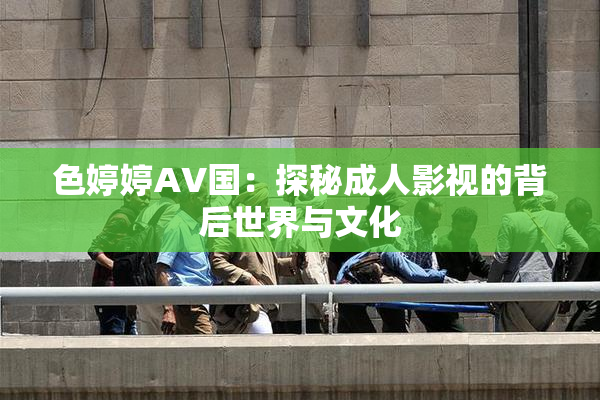 色婷婷AV国：探秘成人影视的背后世界与文化