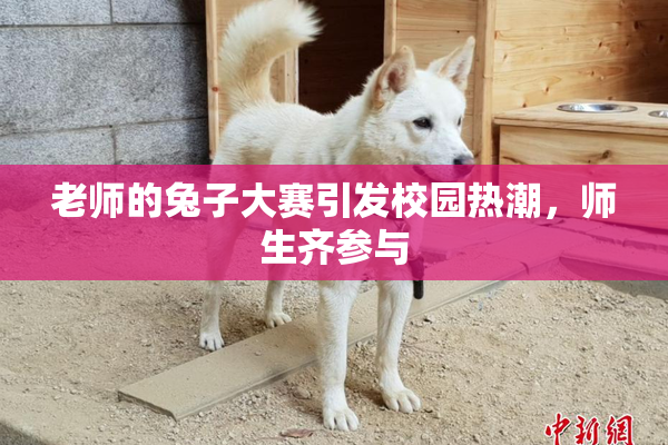 老师的兔子大赛引发校园热潮，师生齐参与