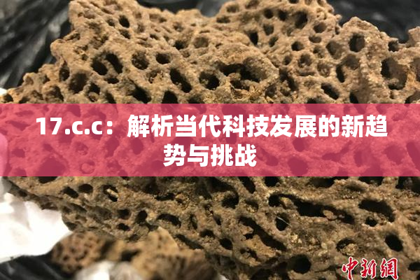 17.c.c：解析当代科技发展的新趋势与挑战