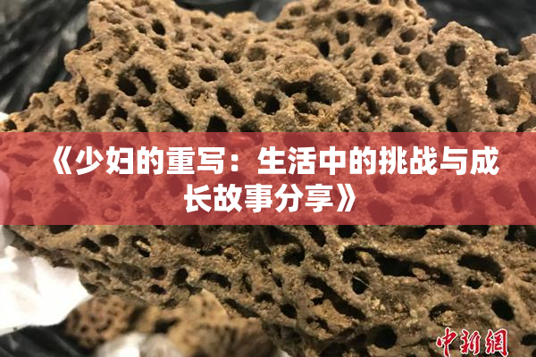 《少妇的重写：生活中的挑战与成长故事分享》