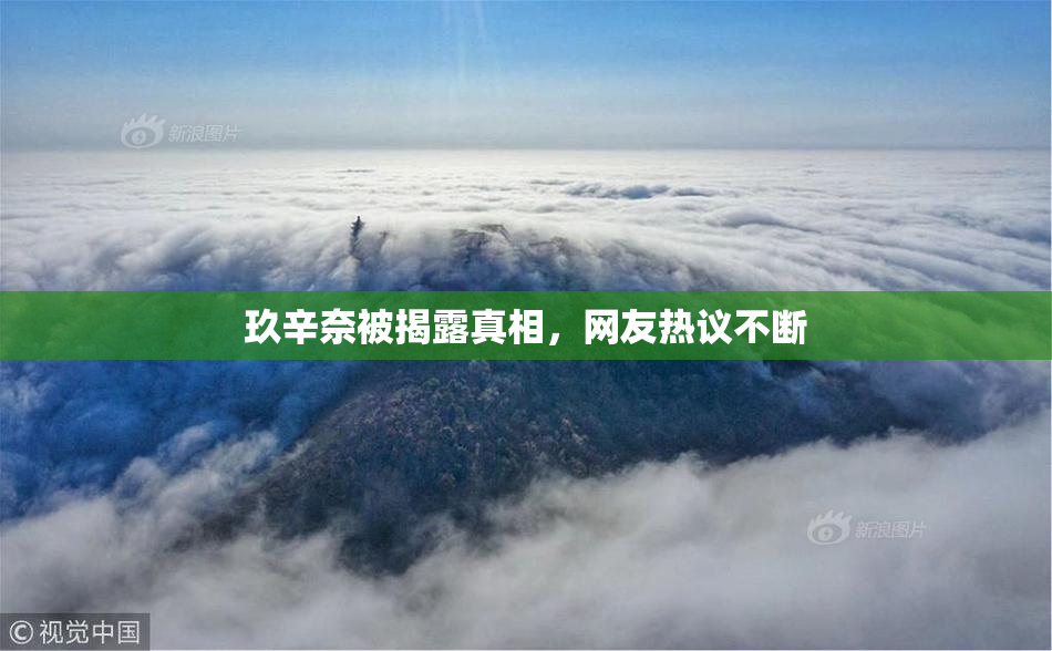 玖辛奈被揭露真相，网友热议不断