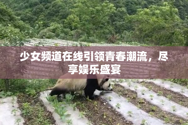 少女频道在线引领青春潮流，尽享娱乐盛宴