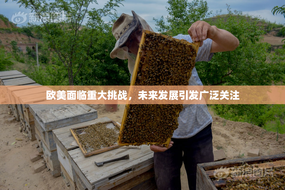 欧美面临重大挑战，未来发展引发广泛关注