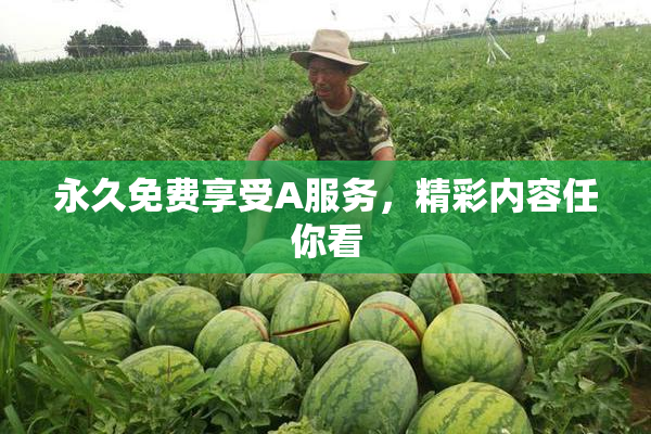 永久免费享受A服务，精彩内容任你看