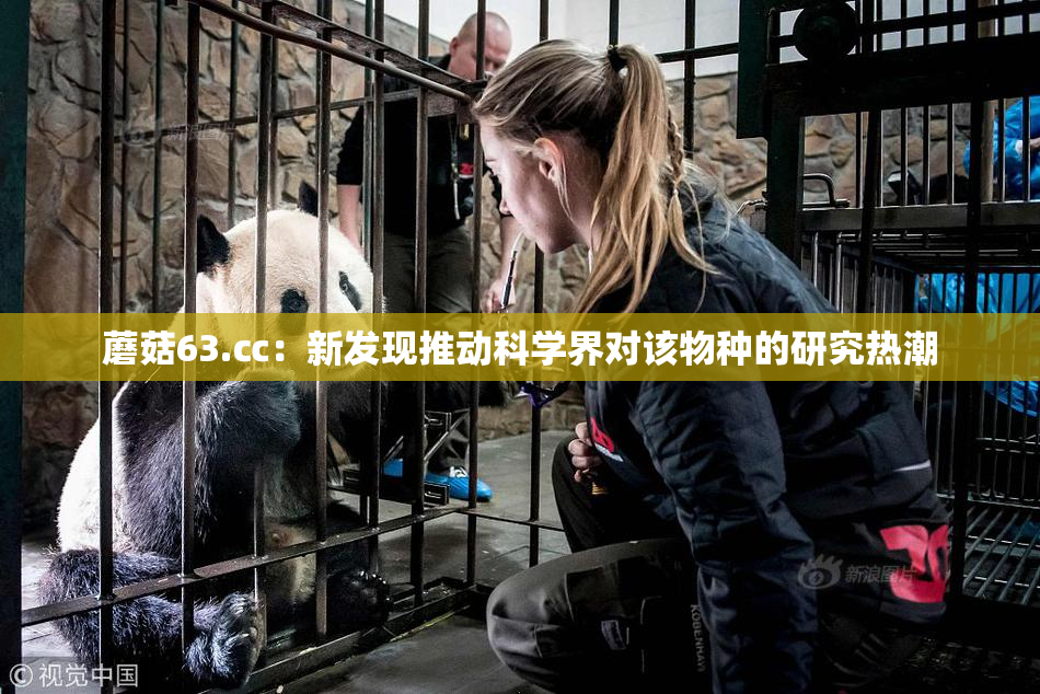 蘑菇63.㏄：新发现推动科学界对该物种的研究热潮