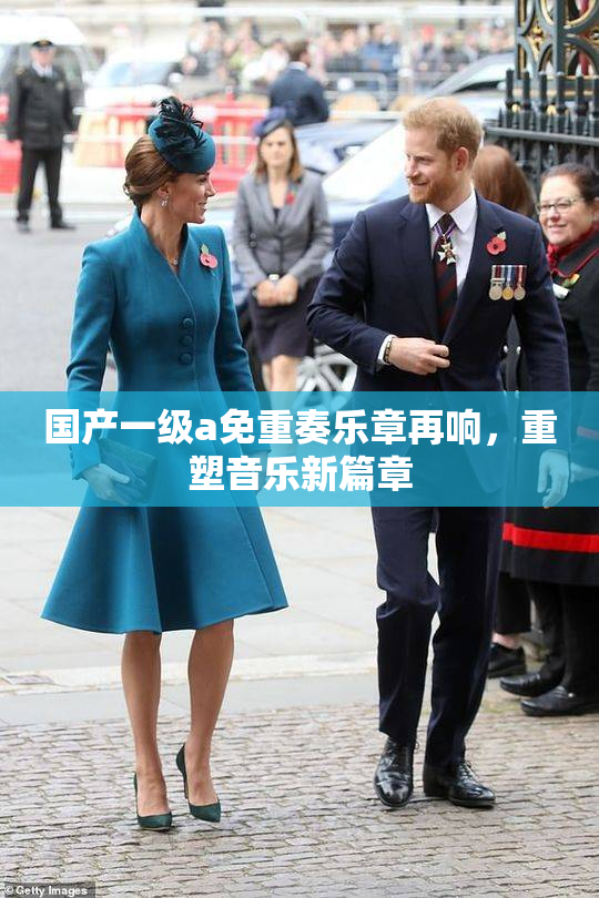 国产一级a免重奏乐章再响，重塑音乐新篇章