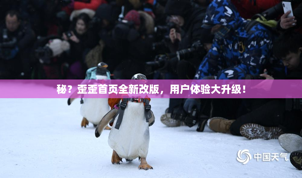 秘？歪歪首页全新改版，用户体验大升级！