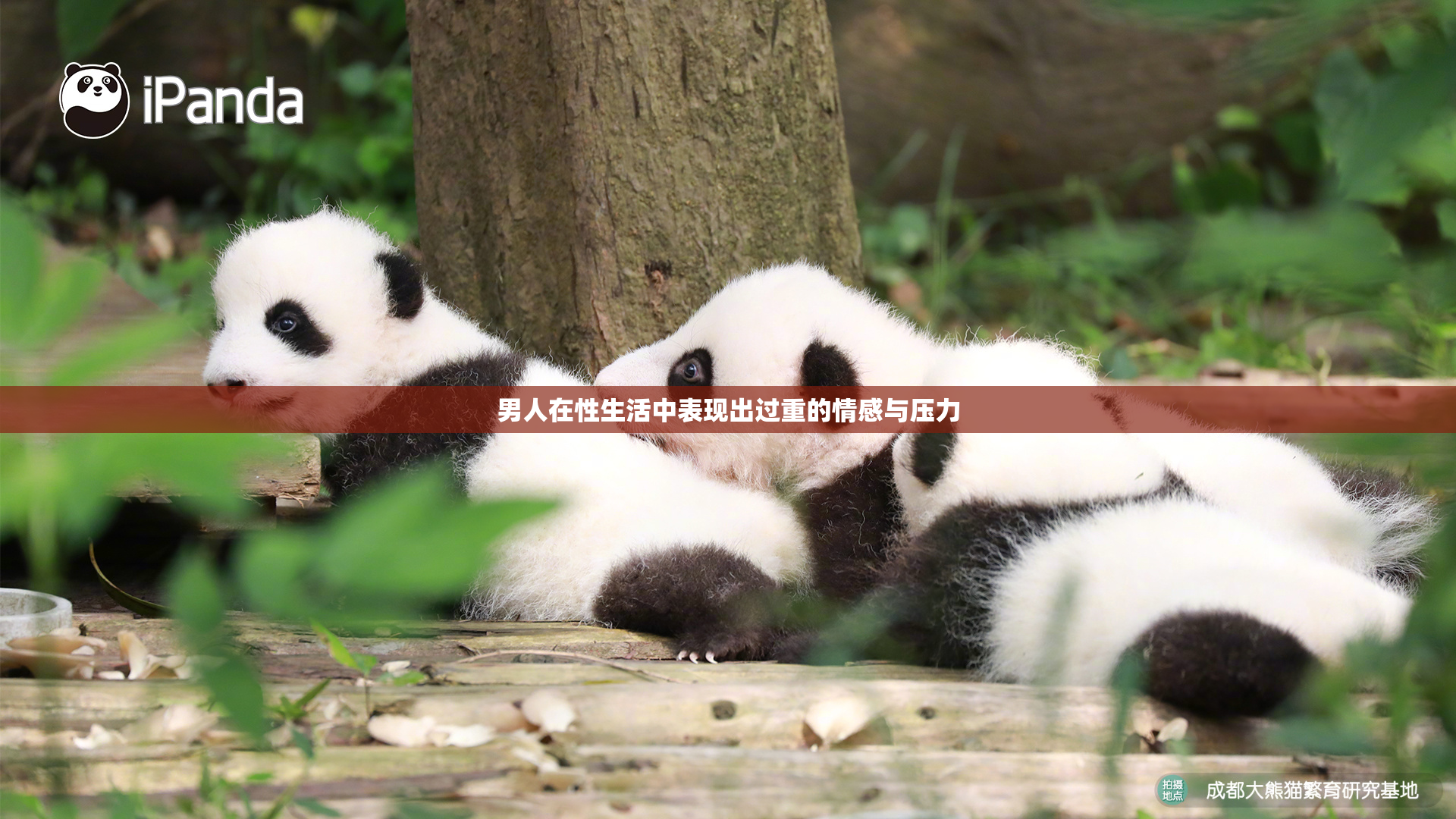 男人在性生活中表现出过重的情感与压力