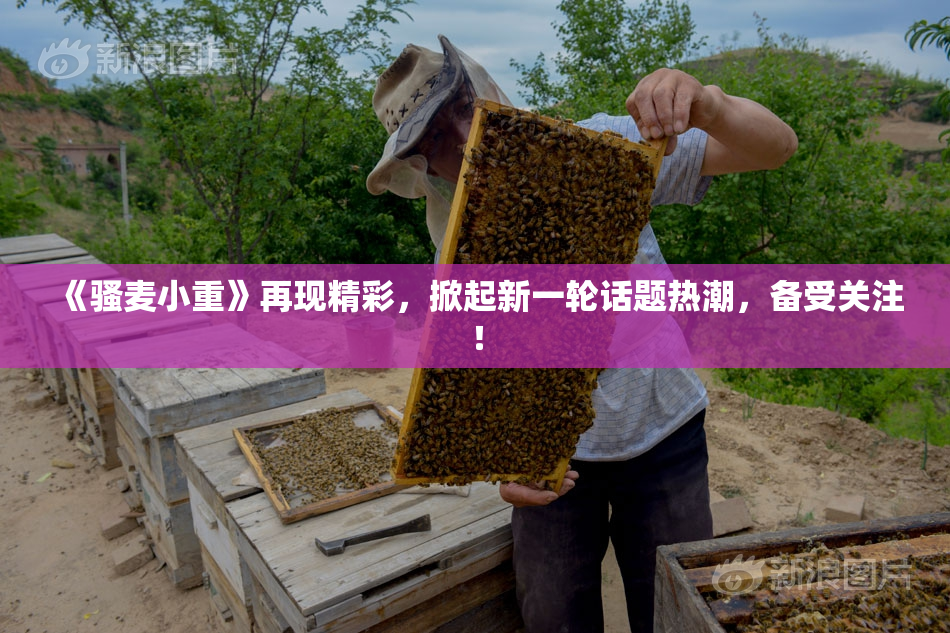 《骚麦小重》再现精彩，掀起新一轮话题热潮，备受关注！