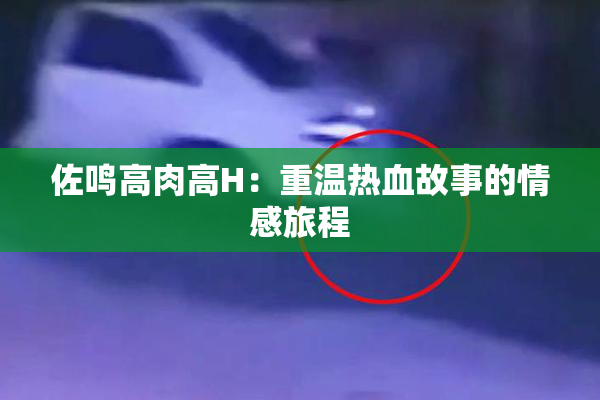 佐鸣高肉高H：重温热血故事的情感旅程