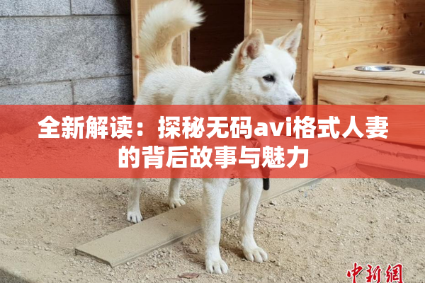 全新解读：探秘无码avi格式人妻的背后故事与魅力