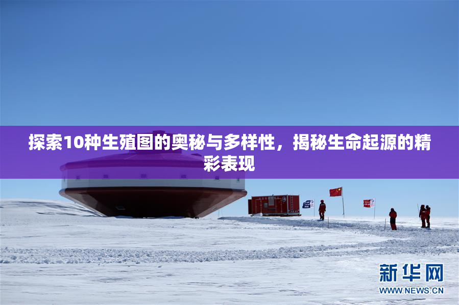 探索10种生殖图的奥秘与多样性，揭秘生命起源的精彩表现