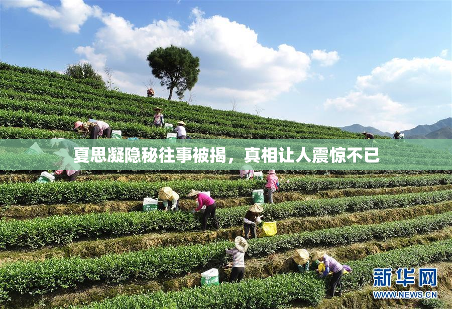 夏思凝隐秘往事被揭，真相让人震惊不已