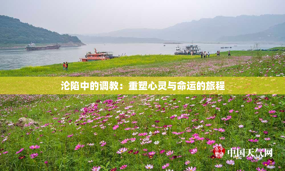 沦陷中的调教：重塑心灵与命运的旅程
