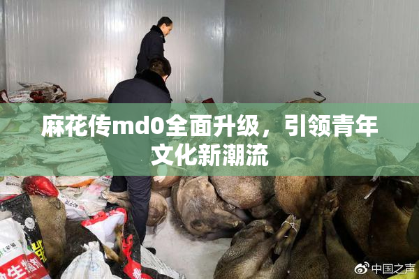 麻花传md0全面升级，引领青年文化新潮流