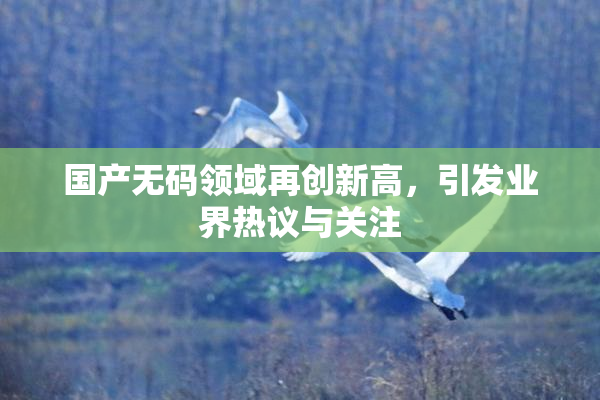 国产无码领域再创新高，引发业界热议与关注