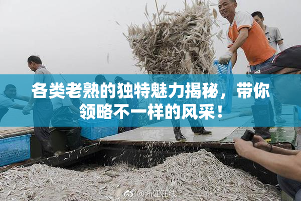 各类老熟的独特魅力揭秘，带你领略不一样的风采！