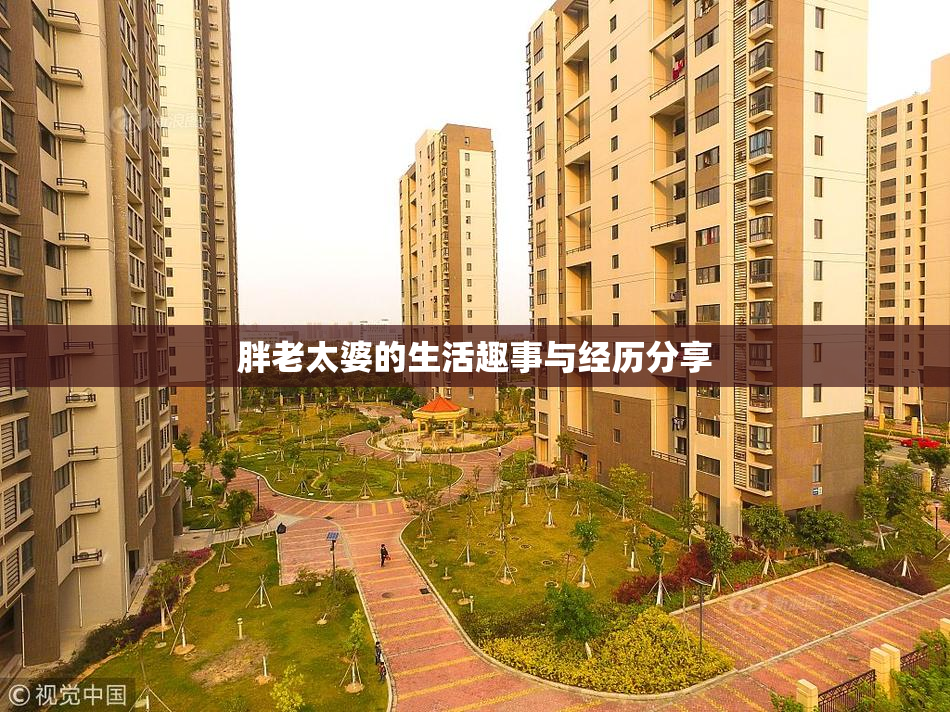 胖老太婆的生活趣事与经历分享