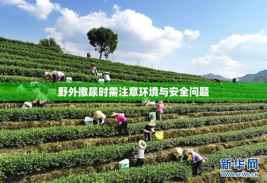 野外撒尿时需注意环境与安全问题