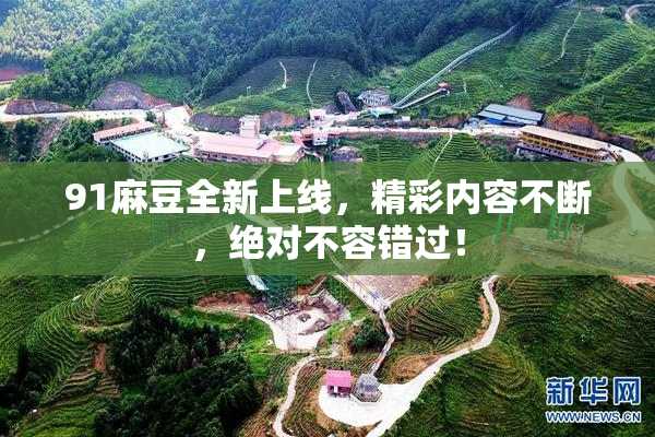91麻豆全新上线，精彩内容不断，绝对不容错过！