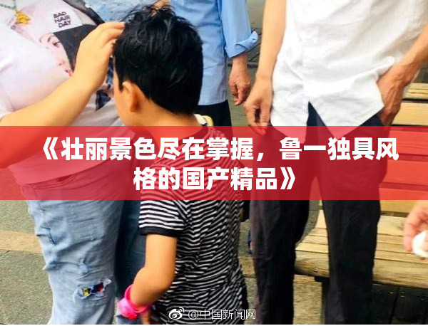 《壮丽景色尽在掌握，鲁一独具风格的国产精品》