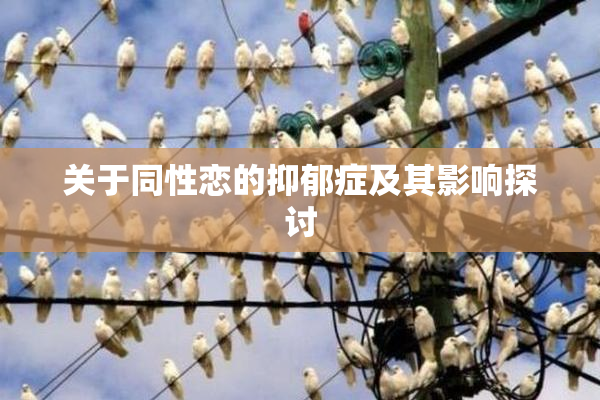 关于同性恋的抑郁症及其影响探讨